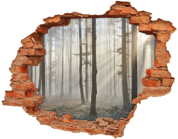 Hole in the wall sticker Misty forest in the morning light