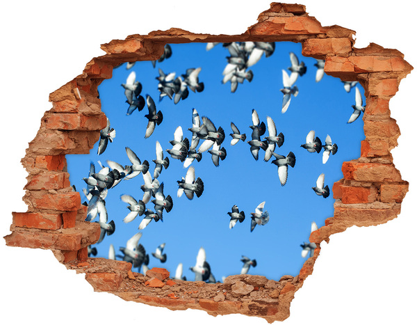 Hole in the wall decal Birds flying through a hole in the wall