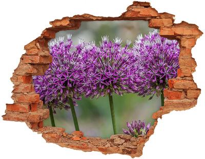 Hole in the wall sticker Flowers in bloom