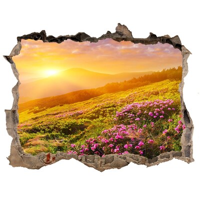 Hole wall sticker Mountain landscape at sunset