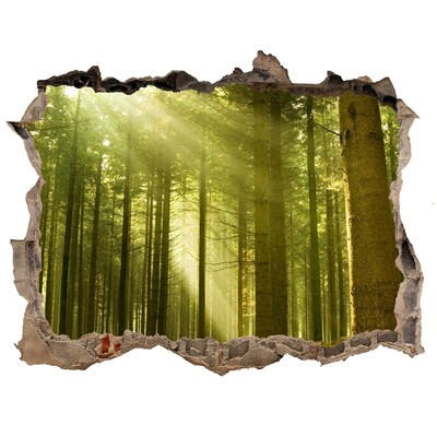 Hole wall sticker Green forest in the morning