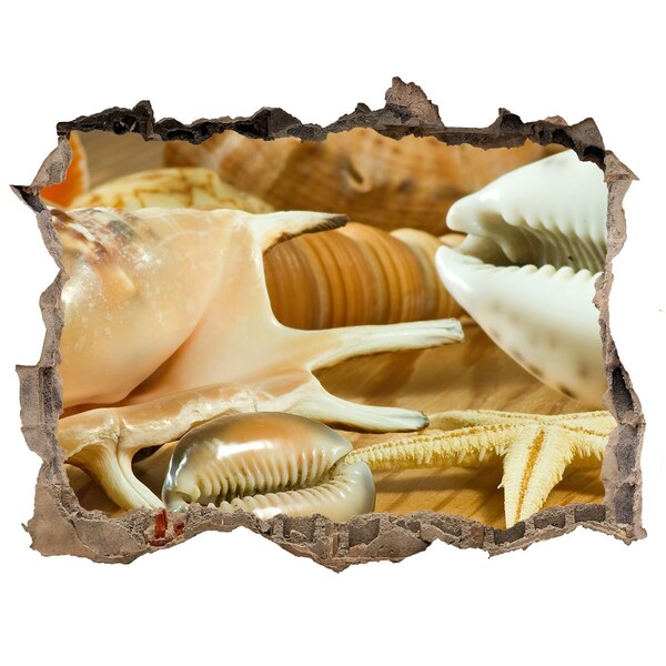 Hole in the wall decal Sea treasures