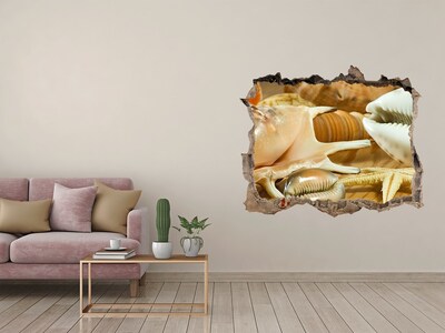 Hole in the wall decal Shells on wood