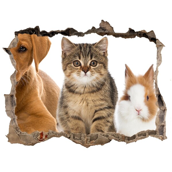 3D wall hole Friends forever