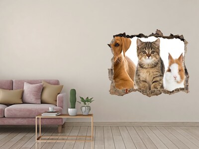 3D wall hole Dog and cat