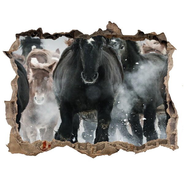 Hole wall sticker Horses galloping through the wall