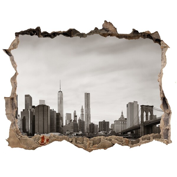 Hole wall sticker View of New York