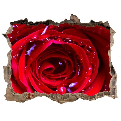 Hole wall sticker Rose flower