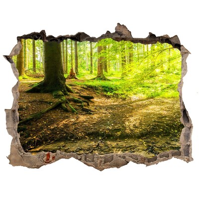 3D wall hole wallpaper Rays of the sun forest