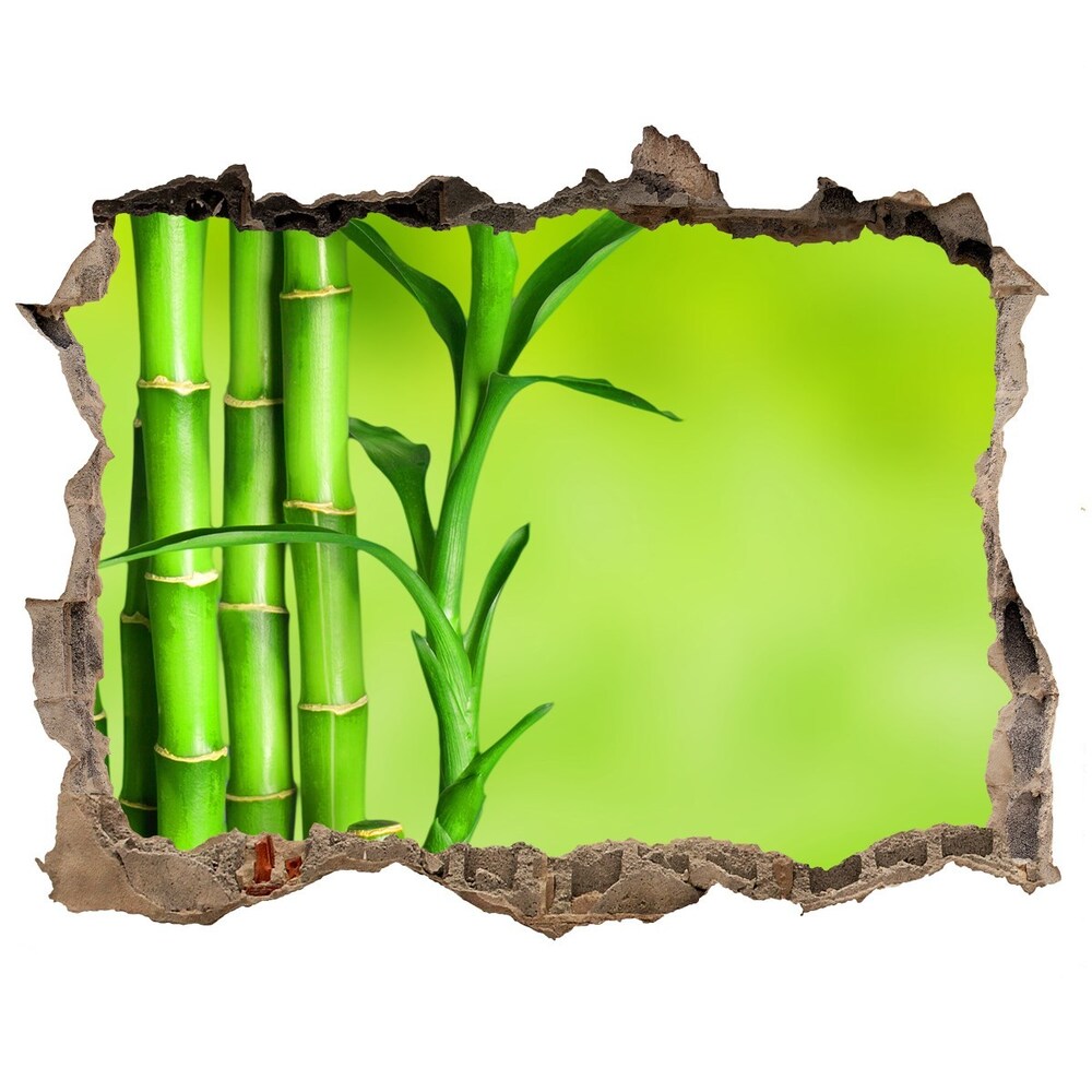 Hole in the wall decal Bamboo