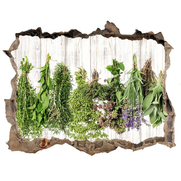 Hole in the wall sticker Herbs on a string