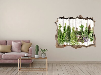 Hole in the wall sticker Herbs on a string