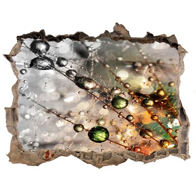 Hole in the wall sticker Crystal structure in light