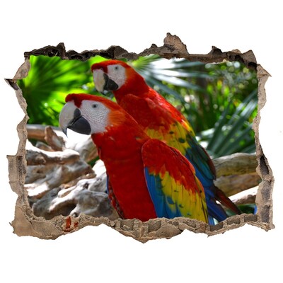 3D wall hole wallpaper Tropical parrots in the jungle