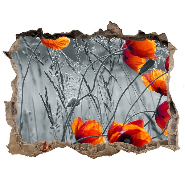 3D wall hole wallpaper Field poppies