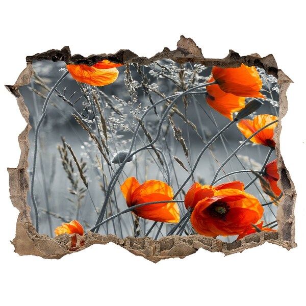 3D wall hole wallpaper Field poppies