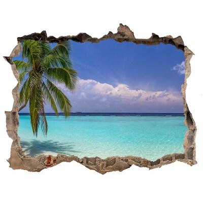 Hole in the wall decal Tropical beach with palm trees