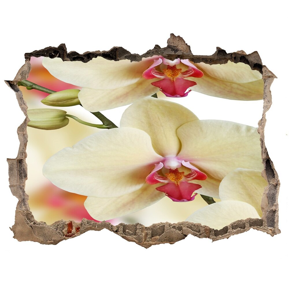 Hole wall sticker Orchid