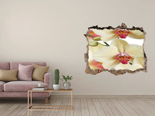 Hole wall sticker Orchid