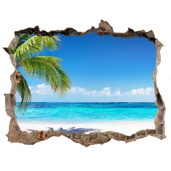 3D wall hole Tropical beach with palm trees