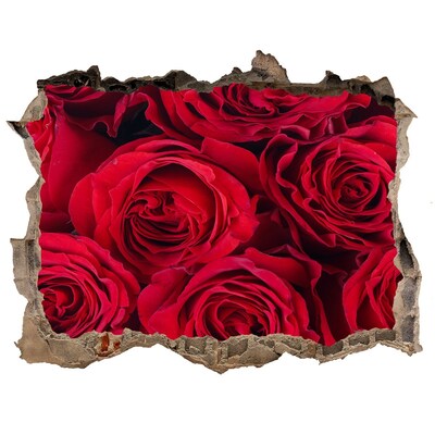 Hole wall sticker Roses in a ruined wall
