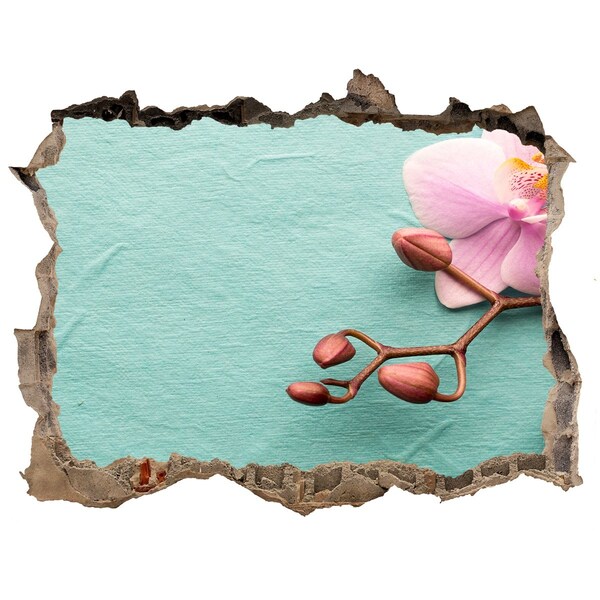 Hole wall sticker Orchid flower in a damaged wall