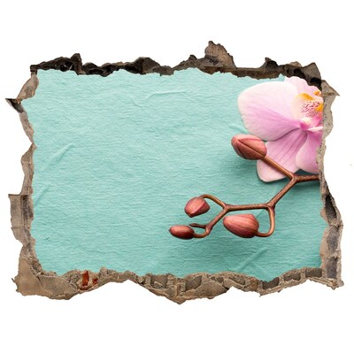 Hole wall sticker Orchid flower in a damaged wall