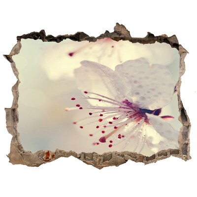 Hole wall sticker Cherry Blossom