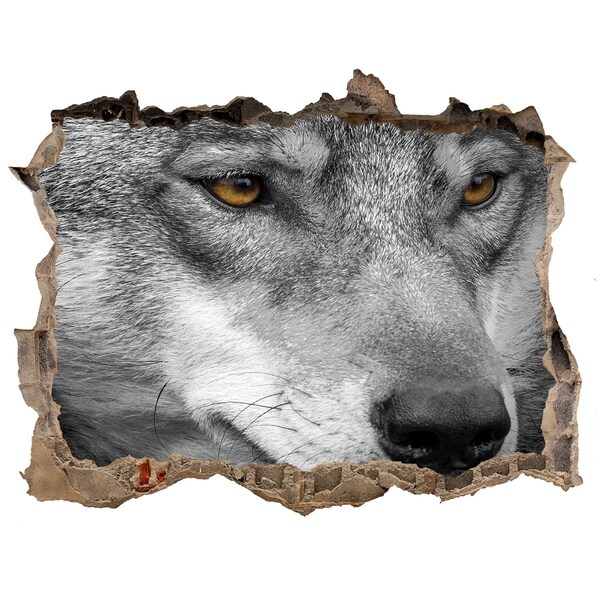 Hole wall sticker Wolf in ruins