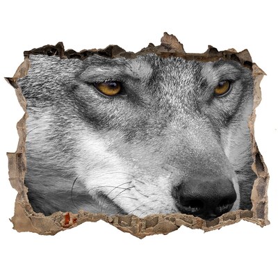 Hole wall sticker Wolf in ruins