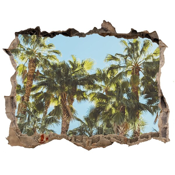 Hole in the wall decal High palm trees