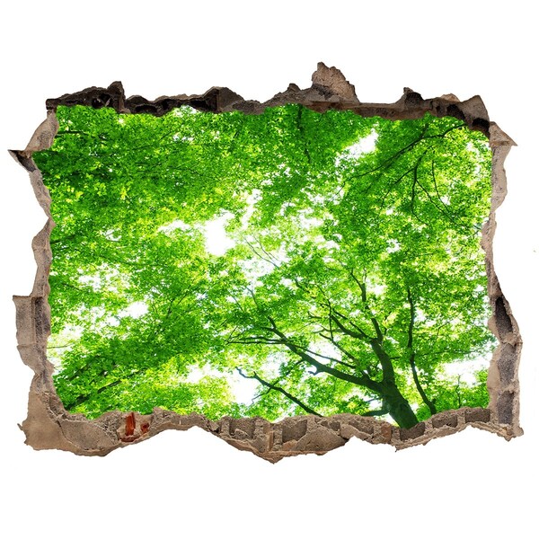 Hole in the wall decal Green Forest