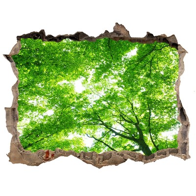Hole in the wall decal Green Forest in a Hole in the Wall