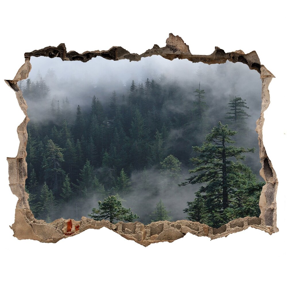 Hole in the wall sticker Forest fog