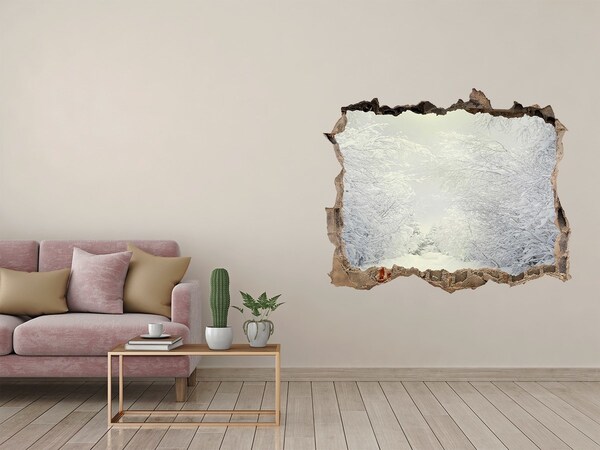 Hole in the wall decal Winter landscape behind the wall