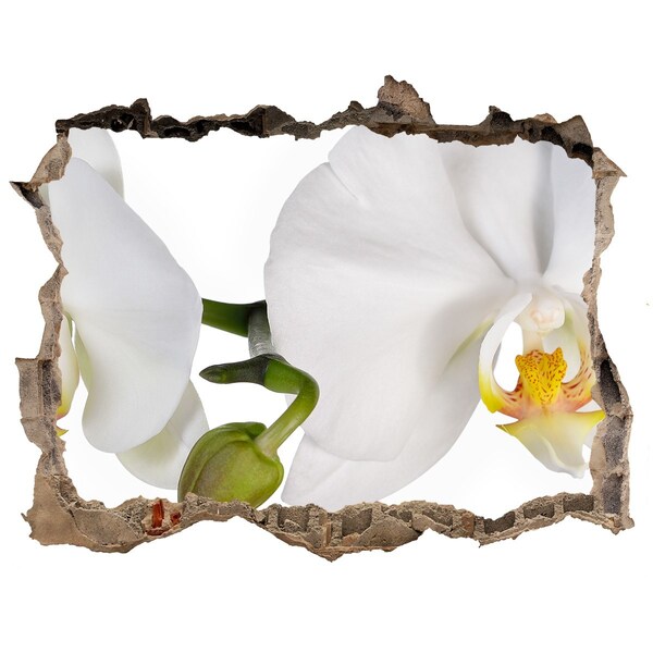 Hole in the wall sticker Orchid flowers in concrete