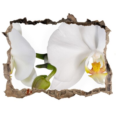 Hole in the wall sticker Orchid