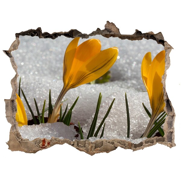 3D wall hole wallpaper Crocuses in the snow