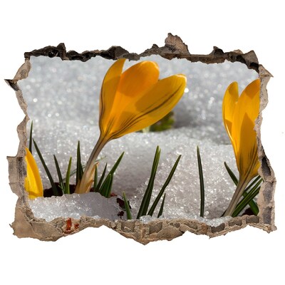 3D wall hole wallpaper Spring Flowers in the Snow