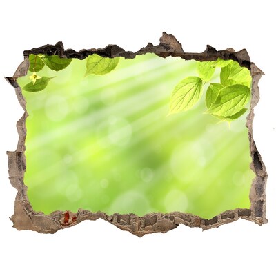 Hole in the wall sticker Green paradise behind the wall