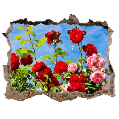 3D wall hole wallpaper Wild roses