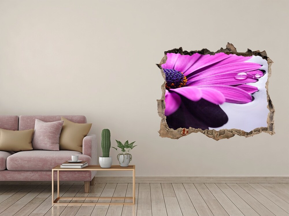 Hole in the wall decal Gerber