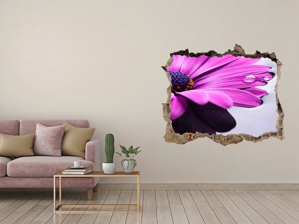 Hole in the wall decal A floral oasis behind the wall