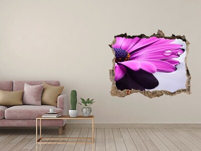 Hole in the wall decal A floral oasis behind the wall