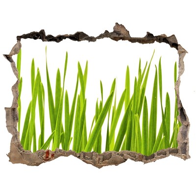 Hole in the wall decal Green meadow through the wall
