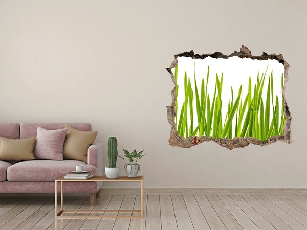 Hole in the wall decal Grass