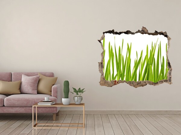Hole in the wall decal Green meadow through the wall