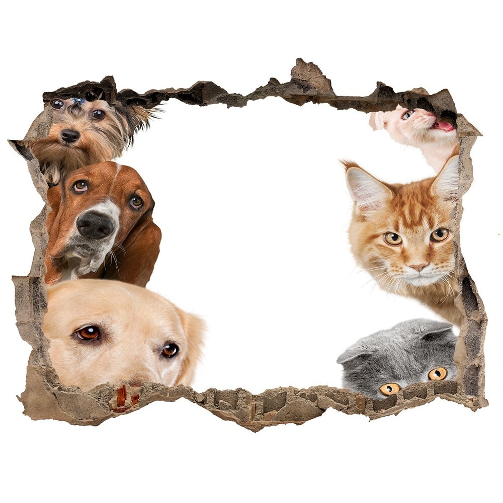 3D wall hole wallpaper Dogs and cats