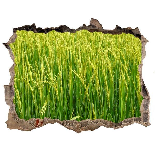 Hole in the wall sticker Green rice fields