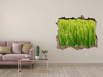 Hole in the wall sticker Green rice fields